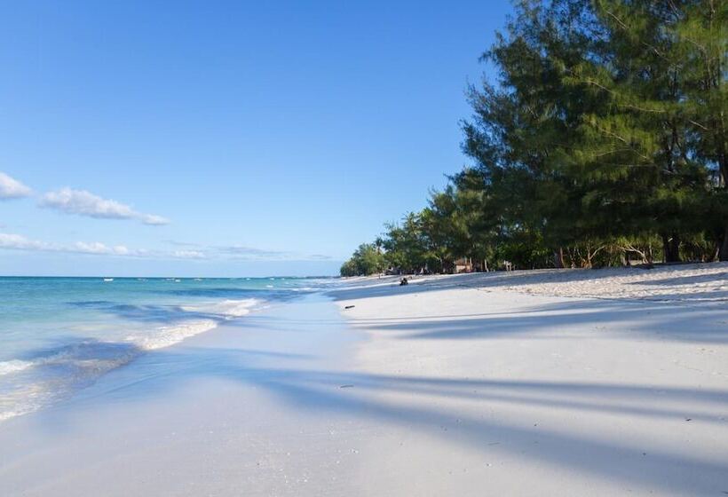 مبيت وإفطار Lazy Beach House