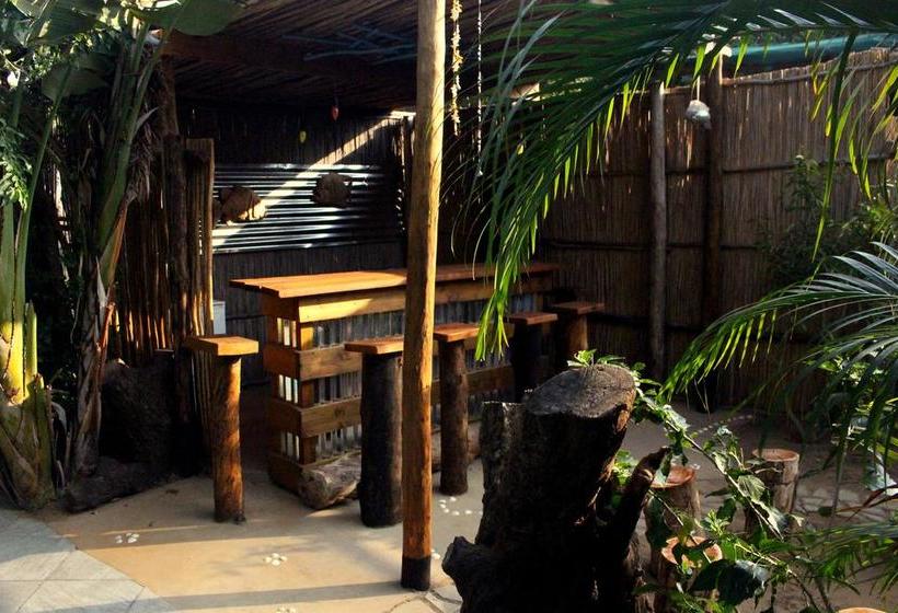 Gala Gala Eco Resort