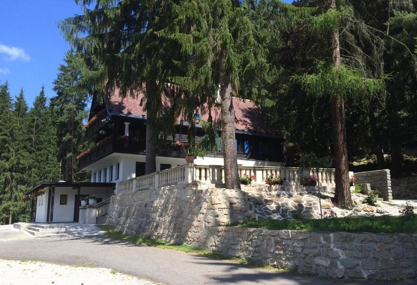 Отель Hunting Lodge Vitkov