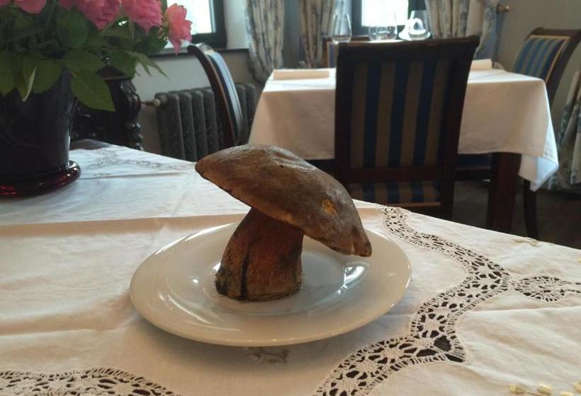 Отель Hunting Lodge Vitkov