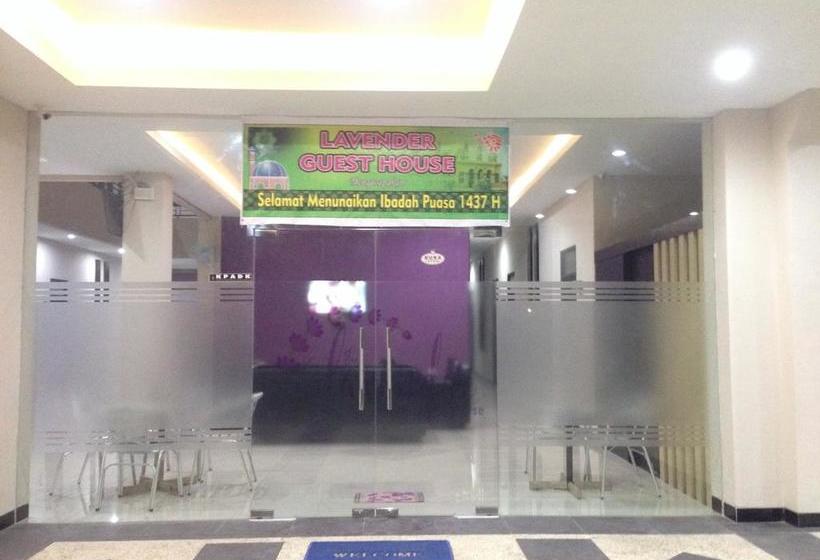 בית מלון כפרי Lavender Guest House