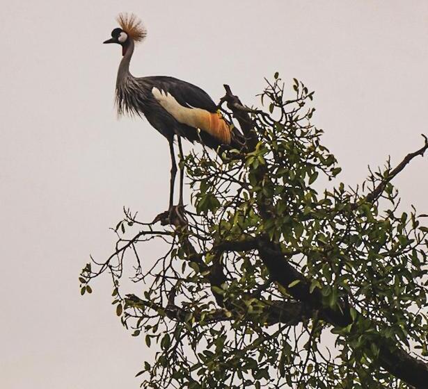 هتل Paradise Eco Hub