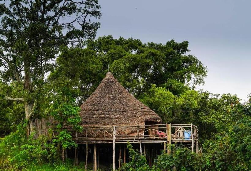 هتل Paradise Eco Hub