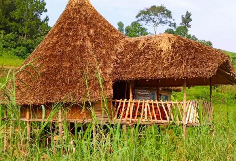 هتل Paradise Eco Hub