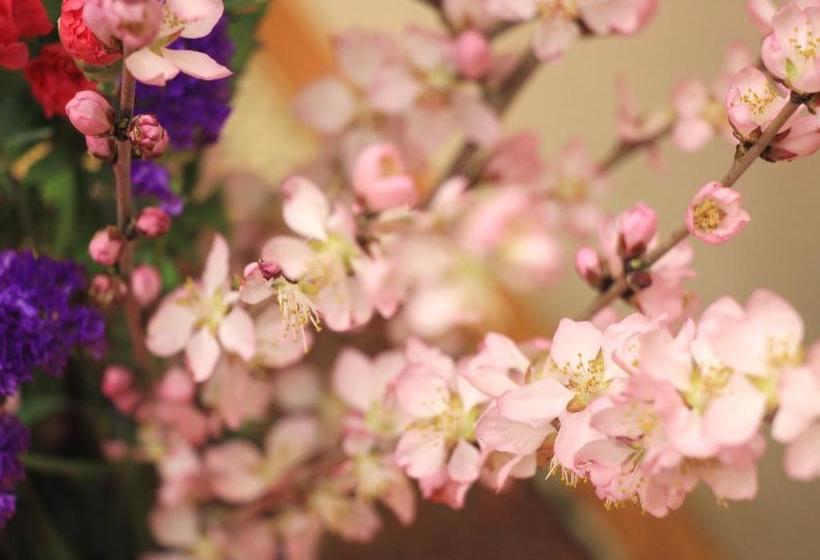 ריוקאן Asahi Club