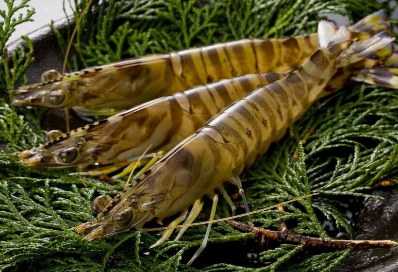 ريوكان Hiyoshien