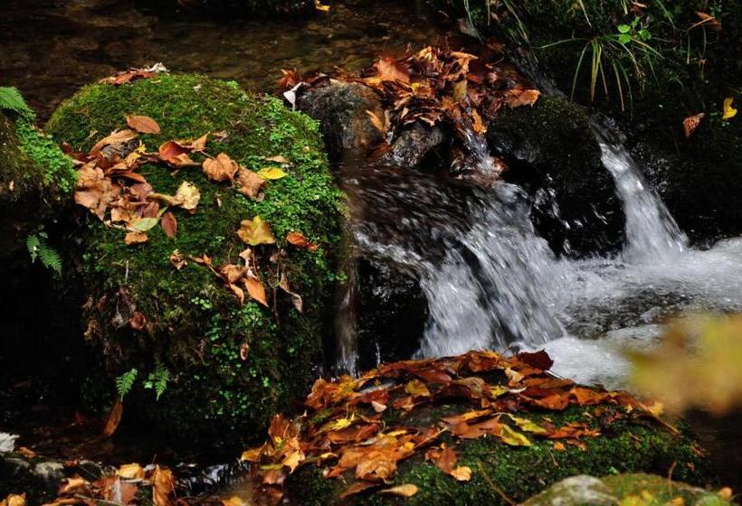 ريوكان Okutamaji