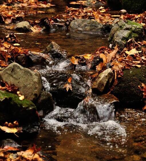 ريوكان Okutamaji