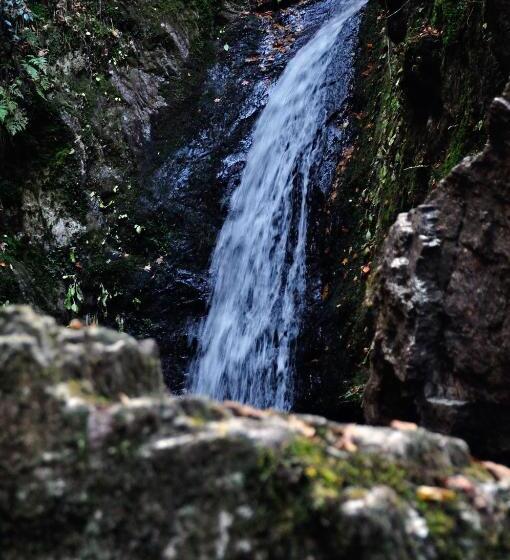 ريوكان Okutamaji