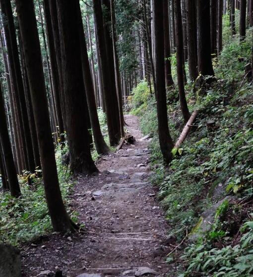 ريوكان Okutamaji