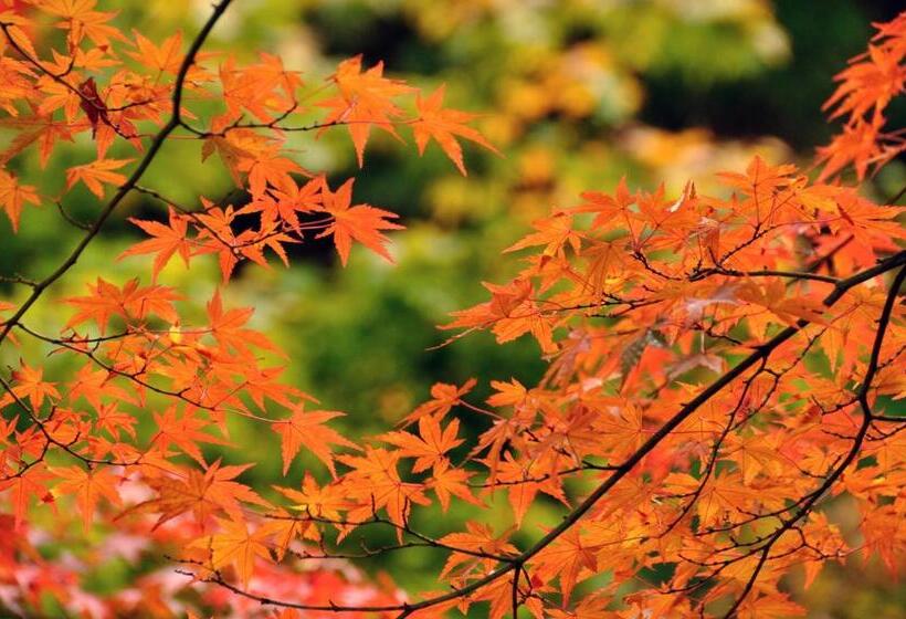 ريوكان Okutamaji