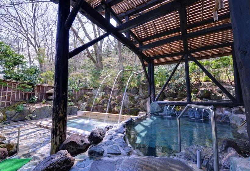 ريوكان Sachinoyu Onsen