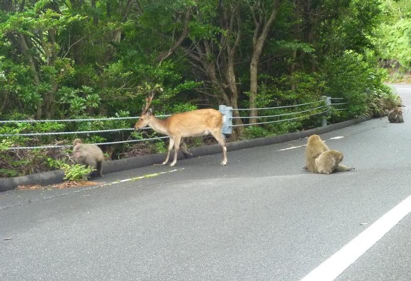호스텔 Minshuku Kaisei 1