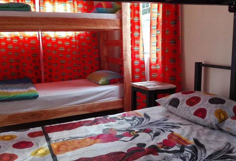 فندق صغير Platberg Harrismith Backpackers