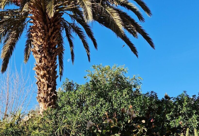 تختخواب و صبحانه Chez Laila