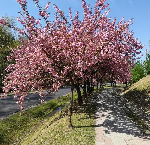 住宿加早餐 Coraline Vendégház