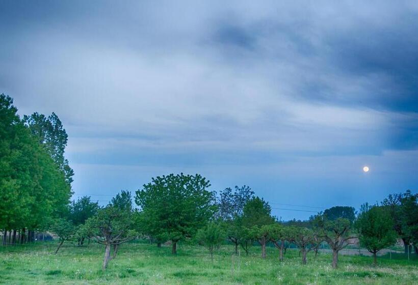 住宿加早餐 Coraline Vendégház
