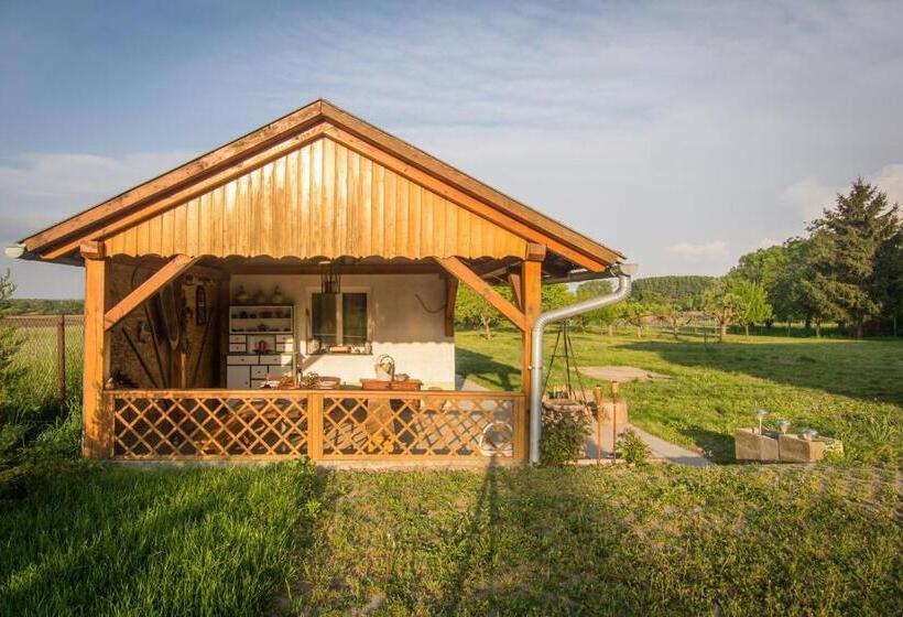 住宿加早餐 Coraline Vendégház