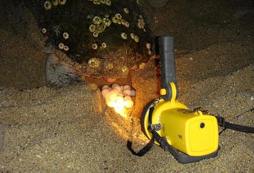 住宿加早餐  Maetakeso