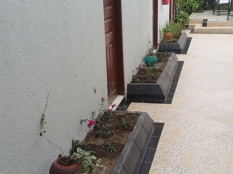 تختخواب و صبحانه Raha Leo Inn