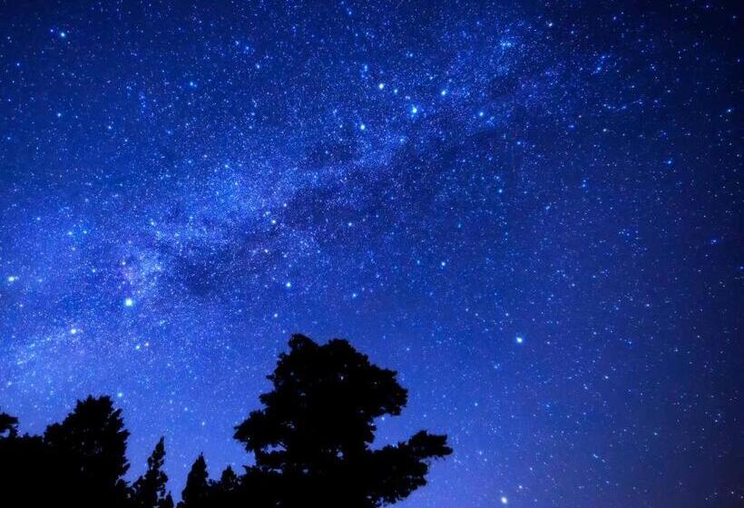 فندق Alpen Plaza