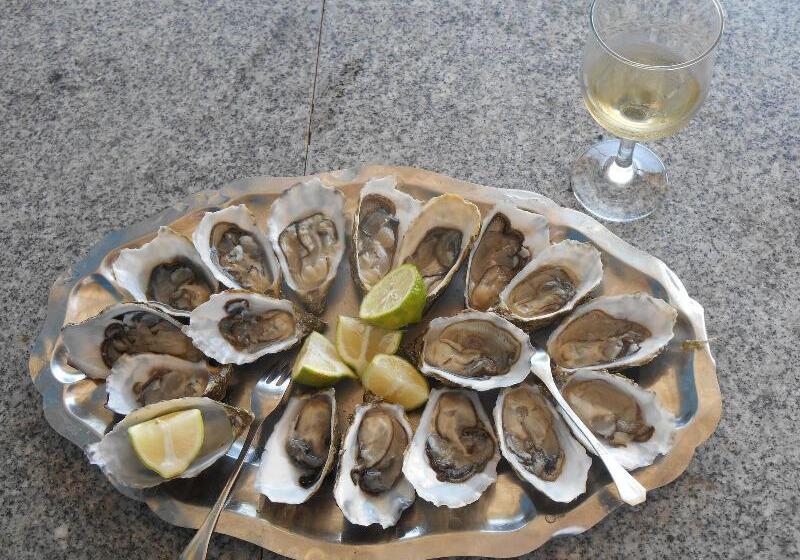 בית מלון כפרי Boutique Hôtel Albaraka