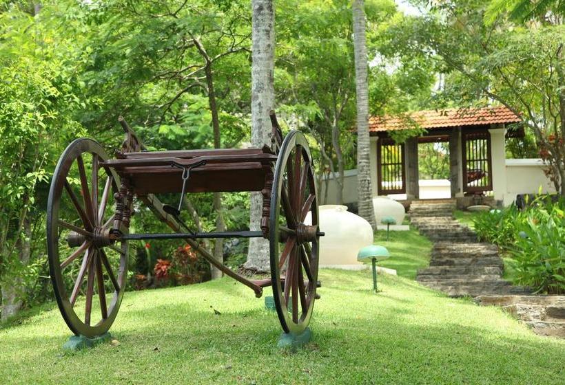 בית מלון כפרי Clingendael