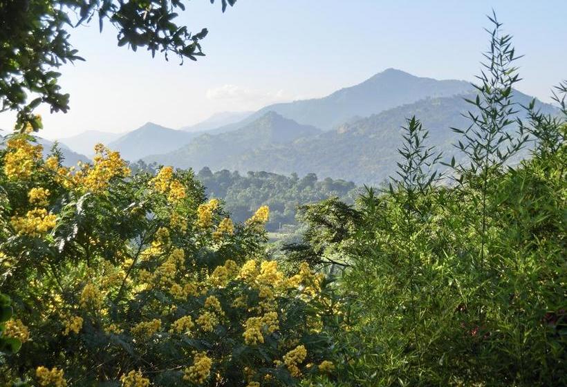 בית מלון כפרי Clingendael