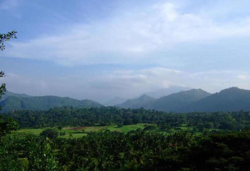 בית מלון כפרי Clingendael