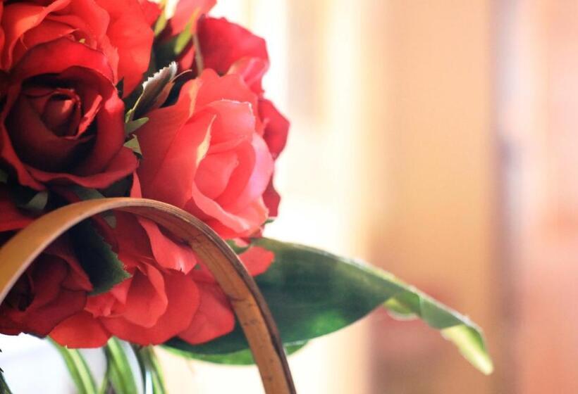 فندق Hakuba Tsugaike Sunrise Tanne