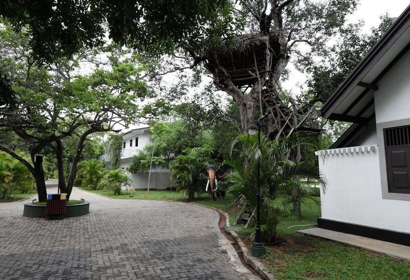 Отель Oak Ray Elephant Lake