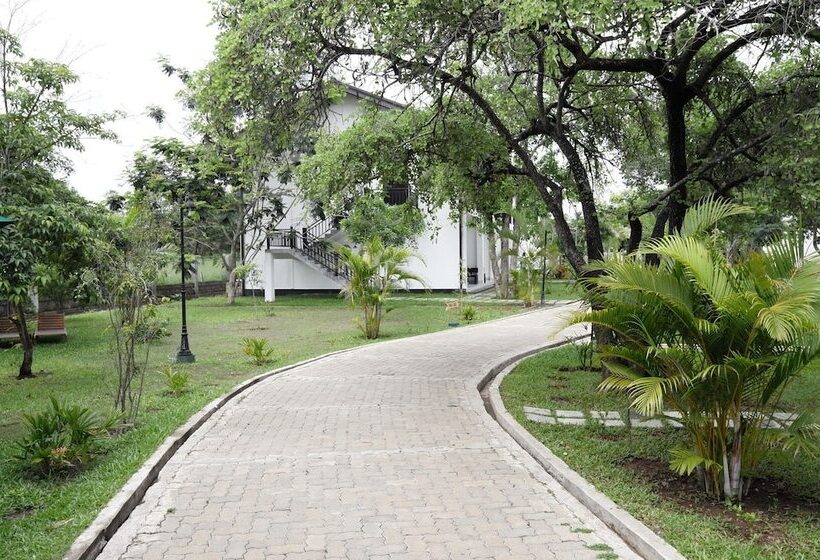 Отель Oak Ray Elephant Lake