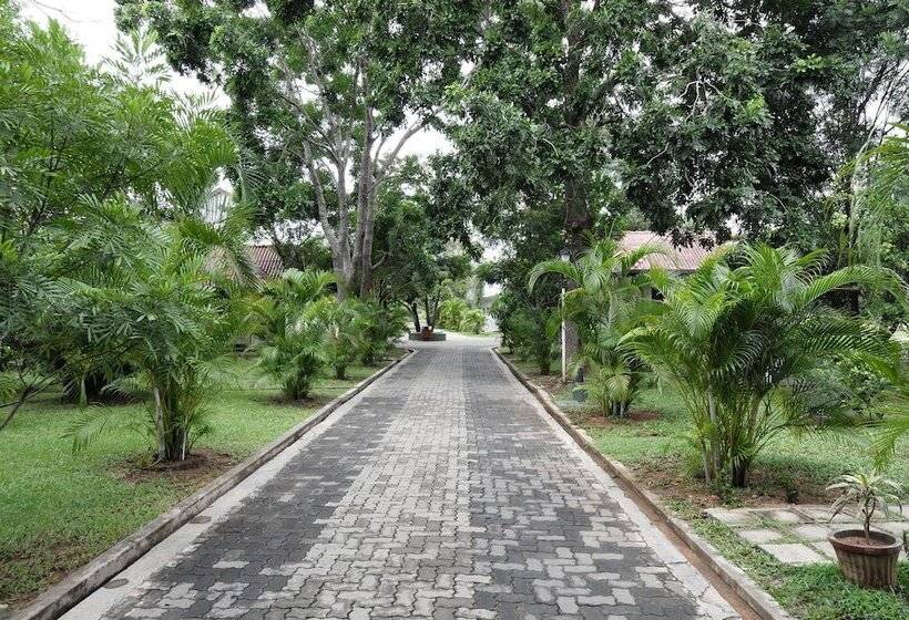 Отель Oak Ray Elephant Lake