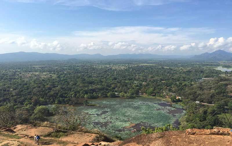Отель Oak Ray Elephant Lake