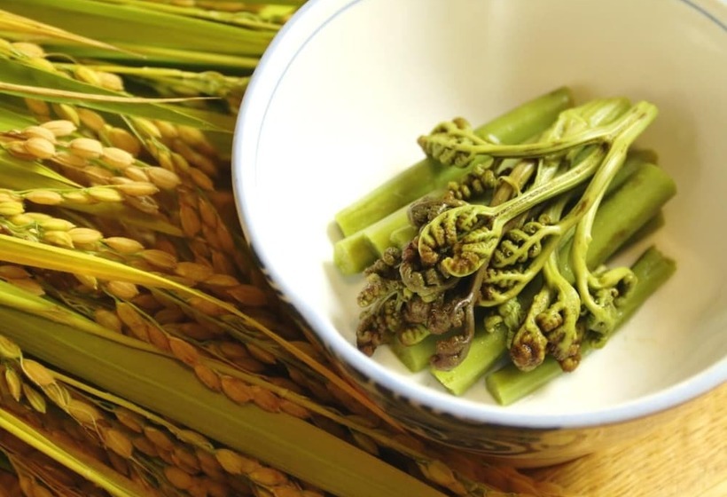 فندق Hakuba Tsugaike Sunrise Tanne