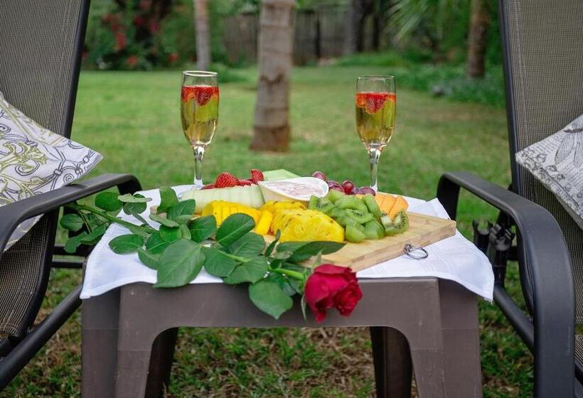 ホテル Three Oaks And An Aloe Boutique