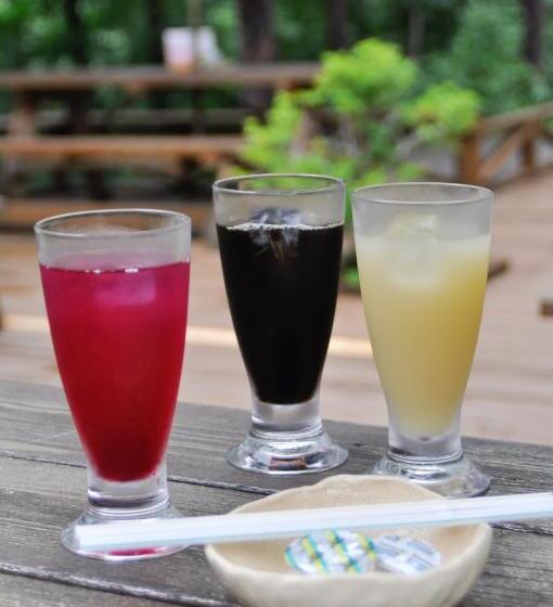 旅館 Hishino Onsen Tokiwakan