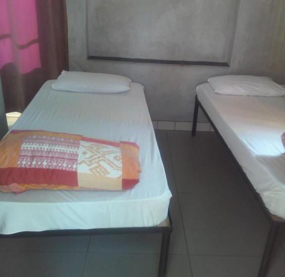 Accoustix Backpackers Hostel