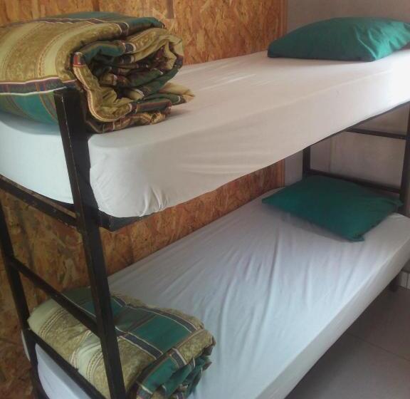 Accoustix Backpackers Hostel