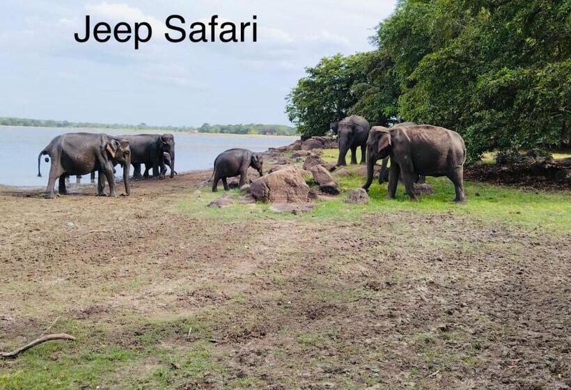 فندق صغير Mountain View