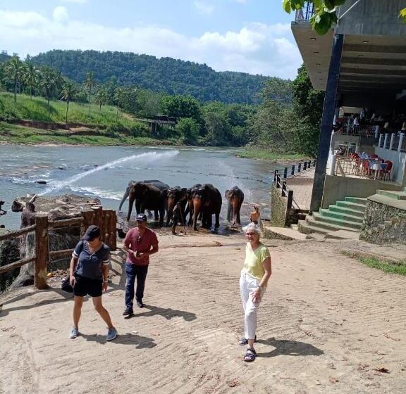 فندق صغير Mountain View