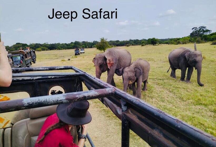 فندق صغير Mountain View