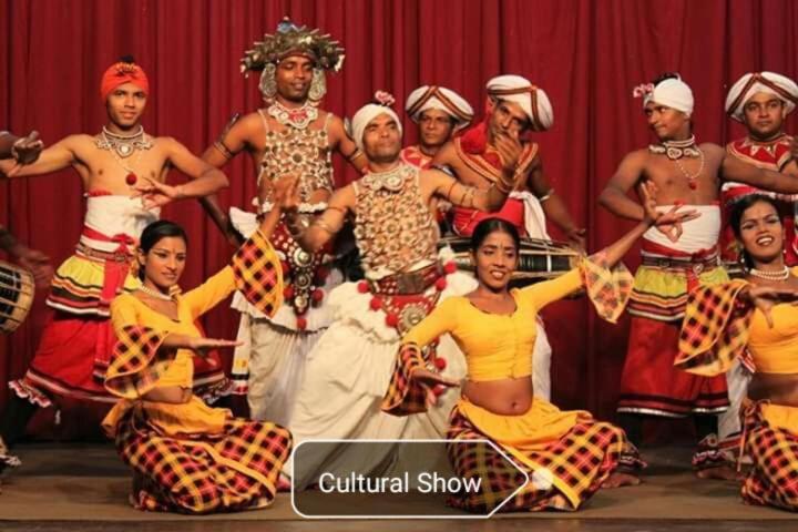 فندق صغير Mountain View