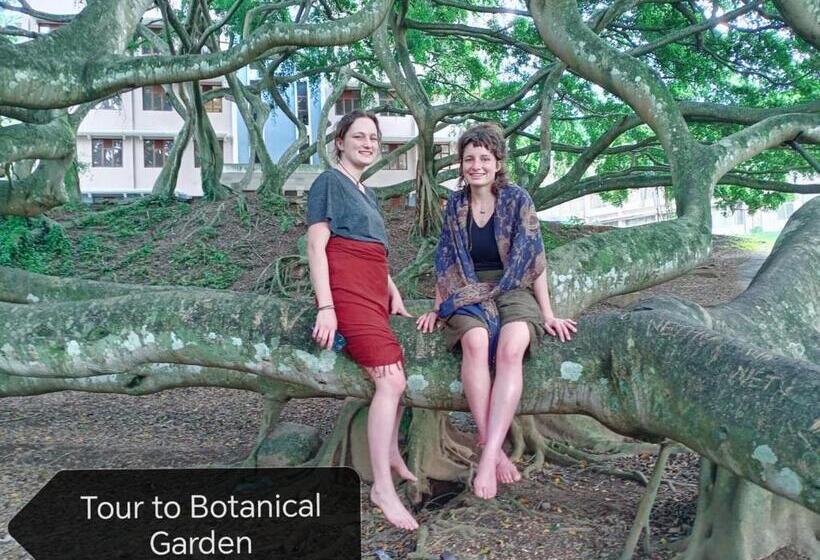 فندق صغير Mountain View