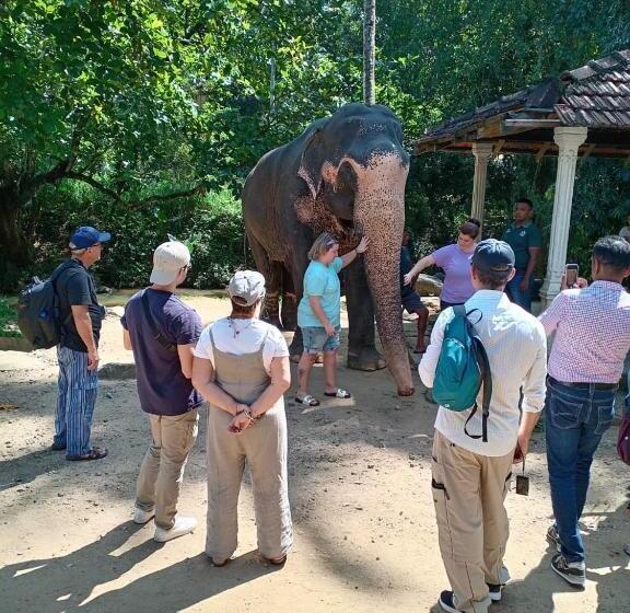 فندق صغير Mountain View