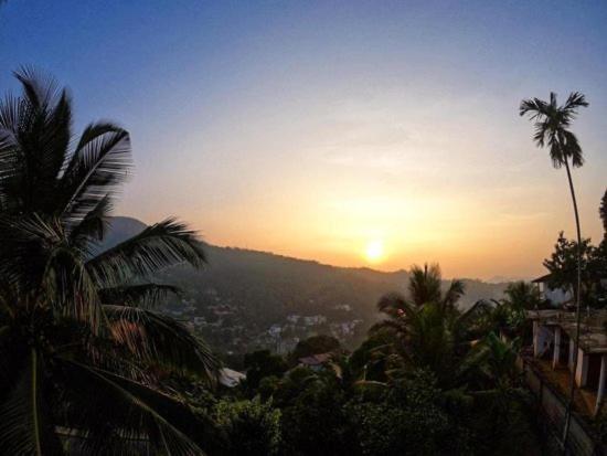 فندق صغير Mountain View