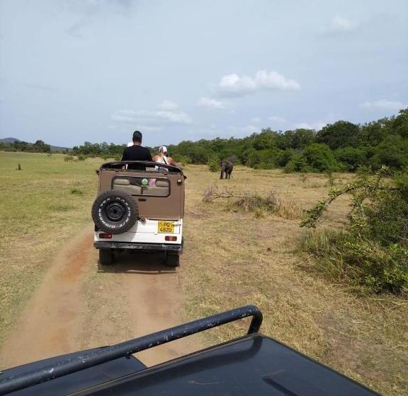 فندق صغير Mountain View