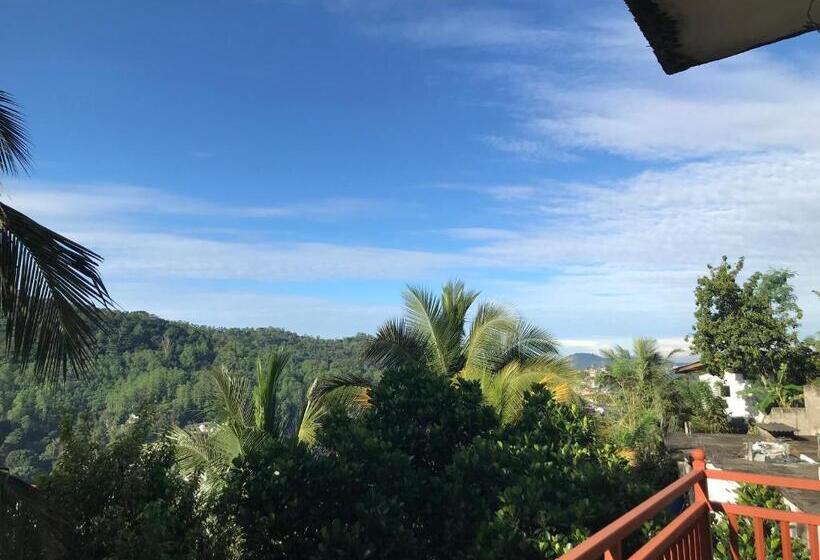 فندق صغير Mountain View