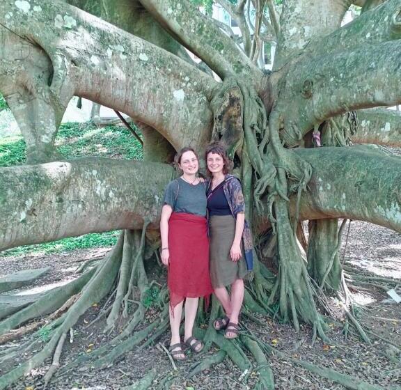فندق صغير Mountain View
