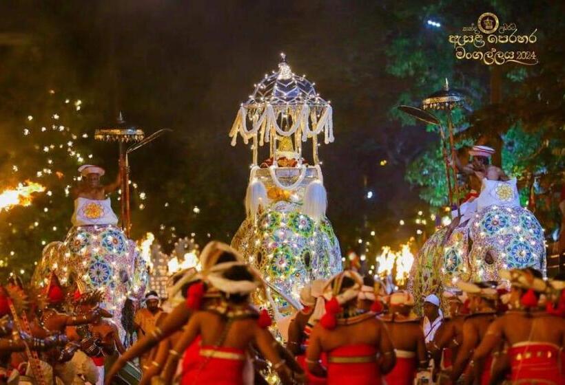 فندق صغير Mountain View